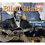 Southern Rag by Blind Blake