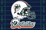 Miami Dolphins 39x59 Acrylic Tufted Rug