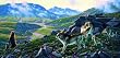 Family Wolf Pack 1000pc Jigsaw Puzzle by Michael Sieve