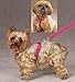 Z & Z Nylon Harness 8-14 In Raspberry Sorbet