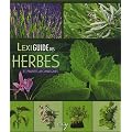 Lexiguide des herbes et plantes aromatiques