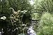 Old Rustic Arch Bridge - 48
