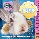 Cute Overload 2012 Page-a-Day Calendar by Meg Frost - ISBN 0761163018
