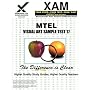 MTEL Visual Art Sample Test 17 (XAM MTEL)