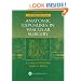 Anatomic Exposures in Vascular Surgery