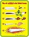 WIE JOINT BAUEN MARIH UANA FUNSCHILD BLECHSCHILD R308
