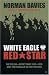 White Eagle, Red Star: The Polish-Soviet War 1919-1920 and 