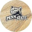Thirstystone Natural Sandstone Set of 4 Coasters Penn State