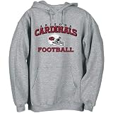 Arizona Wildcats Youth Cardinal Red Team Color Hoody Sweatshirt