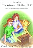 The Wizards of Beldam Bluff (A Dee Dee and Clark DeLay Magical Mystery)