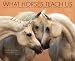 What Horses Teach Us 2012 Calendar