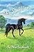 Sky Stallion