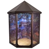 41 Mounted Corner Bird Cage with a Maui Ocean View