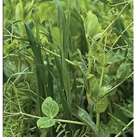 David's Cover Crop Spring Green Manure Mix 5 Pound Order