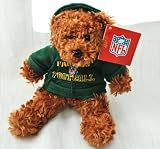 GREEN BAY PACKERS OFFICIAL NFL LOGO 8IN SPECIAL FABRIC PLUSH HOODIE TEDDY BEAR