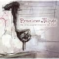 Precious Things: String Quartet Tribute to Tori Amos (Greatest Hits)