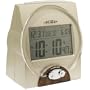 Talking Time, Month and Date Alarm Clock