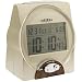 Talking Time, Month and Date Alarm Clock