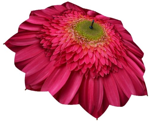 Childrens Toyshop  Apparel : Gerber Daisy Umbrella 46" arc, 100% Pongee cover