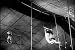 Circus Trapeze Artist Love Movie DVD: Under the Big Top (1938) Flying Trapeze Artist Acrobat Romance Film w/ Acrobatics & Circus Performer Theme