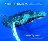 Among giants : a life with whales
