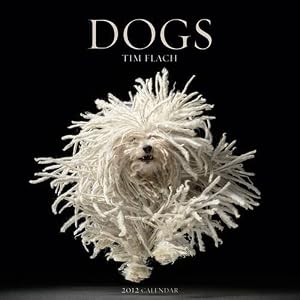 Dogs 2012 Wall Calendar