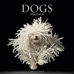 Dogs 2012 Wall Calendar