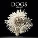 Dogs 2012 Wall Calendar