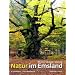 Natur im Emsland: Moore, Wasser, W�lder