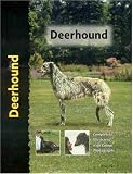 Deerhound