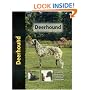 Deerhound
