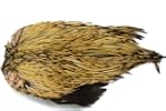 1 x Cou de coq Indien - BADGER - 'Top...