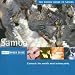 Samba-Rough Guide to Samba
