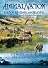 Animal Nation - Hippos, Rhinos, Antelopes, Zebras, Giraffes and more [DVD]