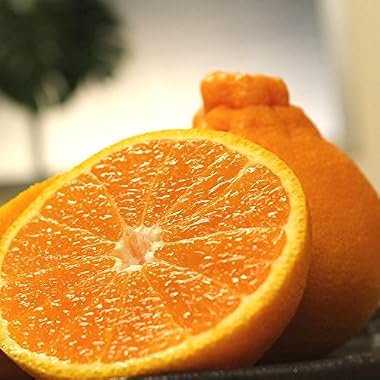 【訳あり】愛媛県産 しらぬい 不知火(デコみかん) 約10kg