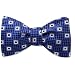 Diamant by Principessa blue silk freestyle bowties