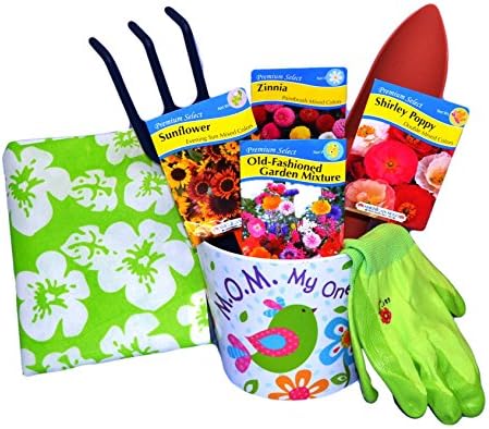 Mothers Day Garden Flower Pot with Flower Seeds, Trowel, Spading Fork, Gloves, Gift Bag-10 Piece Set