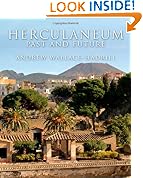 Herculaneum: Past and Future