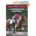 Practical Steps in Rehabilitating Your Horse