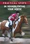 Practical Steps in Rehabilitating Your Horse
