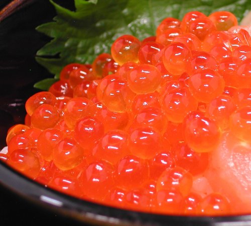 SHUEI 訳あり北海道産いくら醤油漬け(500g)