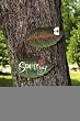 3 Assorted Leaves with Bugs Metal Wall Signs