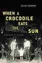When a Crocodile Eats the Sun