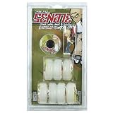 Senate Sinner Wheels and Bearings - 8 Pack 2009 - 54mm-89A/Green Senate Sinner Wheels and Bearings - 8 Pack 2009 - 54mm-89A/Green