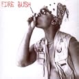 Fire Bush
