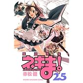 魔法先生ネギま！（25） (少年マガジンコミックス)