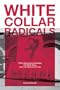 White Collar Radicals: TVA's Knoxville Fifteen, the New Deal, and the McCarthy Era