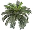 30" Cycas Palm Artificial Tree Silk Plants