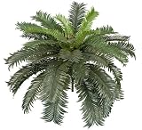 30" Cycas Palm Artificial Tree Silk Plants