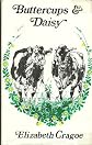 Buttercups and daisy